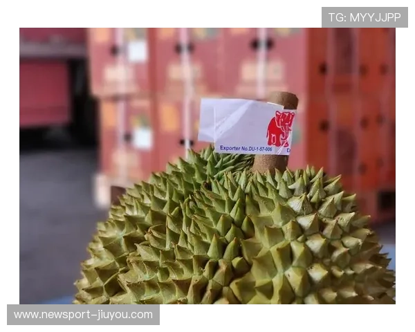 榴莲爱好者必看：揭秘榴莲的独特风味与趣味吃法全攻略