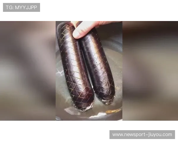 茄子视频全新玩法揭秘让你轻松掌握短视频创作技巧